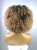 Afro Kinky Curly Wig with Afro Hairline, 10", 2/27