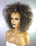Afro Curly Highlight Wig with Afro Hairline 4/27