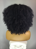 Afro Kinky Curly Wig with Afro Hairline, 14"