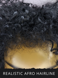Afro Kinky Curly Wig with Afro Hairline, 16", 1B