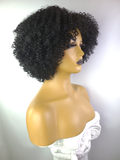 Afro Kinky Curly Wig with Afro Hairline, 10", 1B