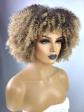 Afro Kinky Curly Wig with Afro Hairline, 10", 2/27