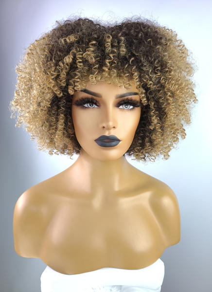 Afro Kinky Curly Wig with Afro Hairline, 10", 2/27