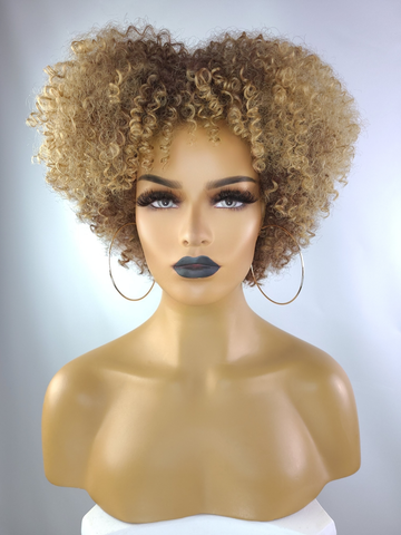 Tapered Afro Kinky Curly Wig with Afro Hairline, 8", 4/27