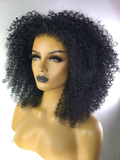 Afro Kinky Curly Wig with Afro Hairline, 16", 1B
