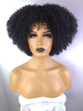 Afro Kinky Curly Wig with Afro Hairline, 10", 1B
